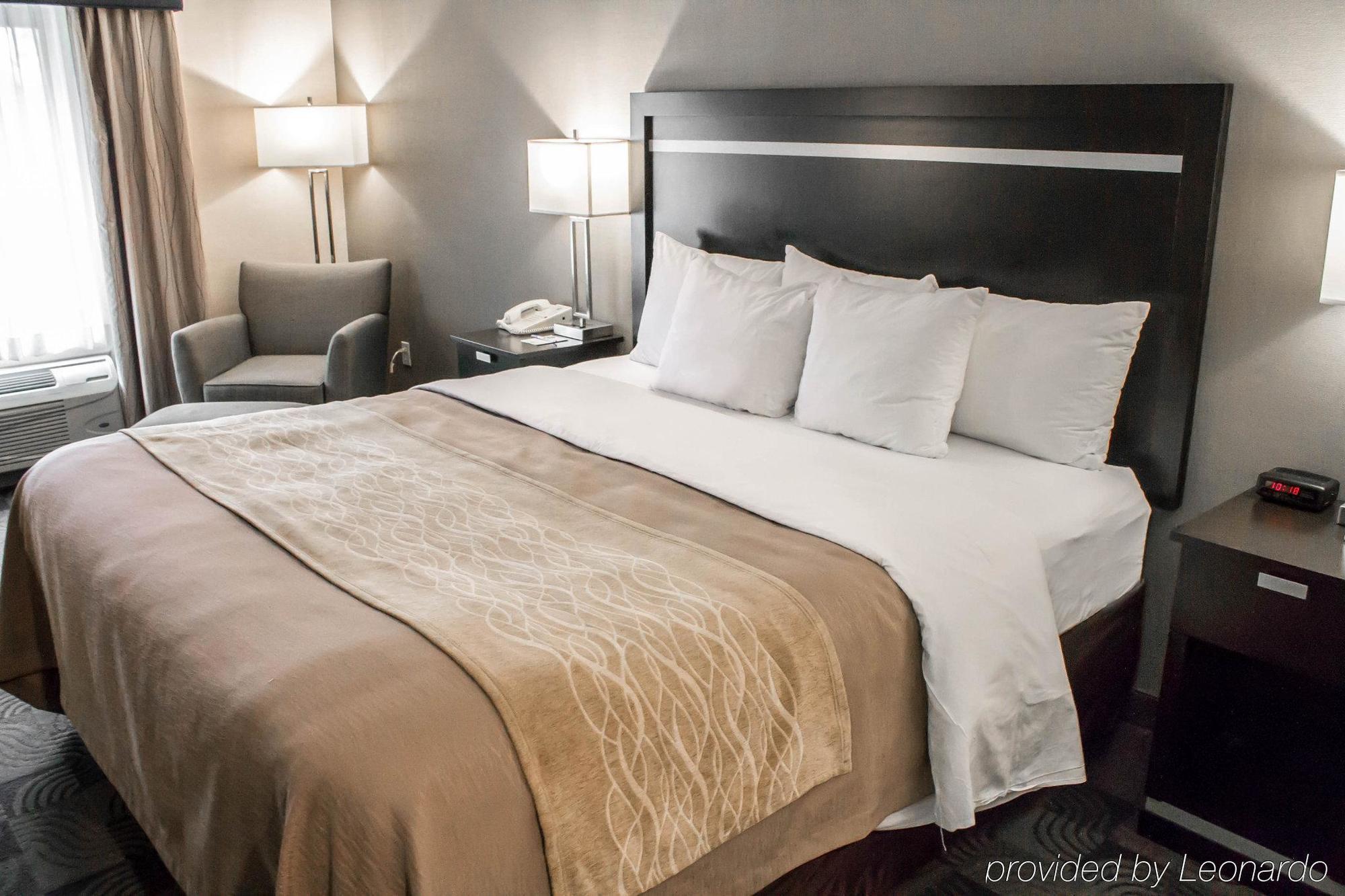 Holiday Inn Express & Suites - Albany Airport - Wolf Road By Ihg Exterior foto