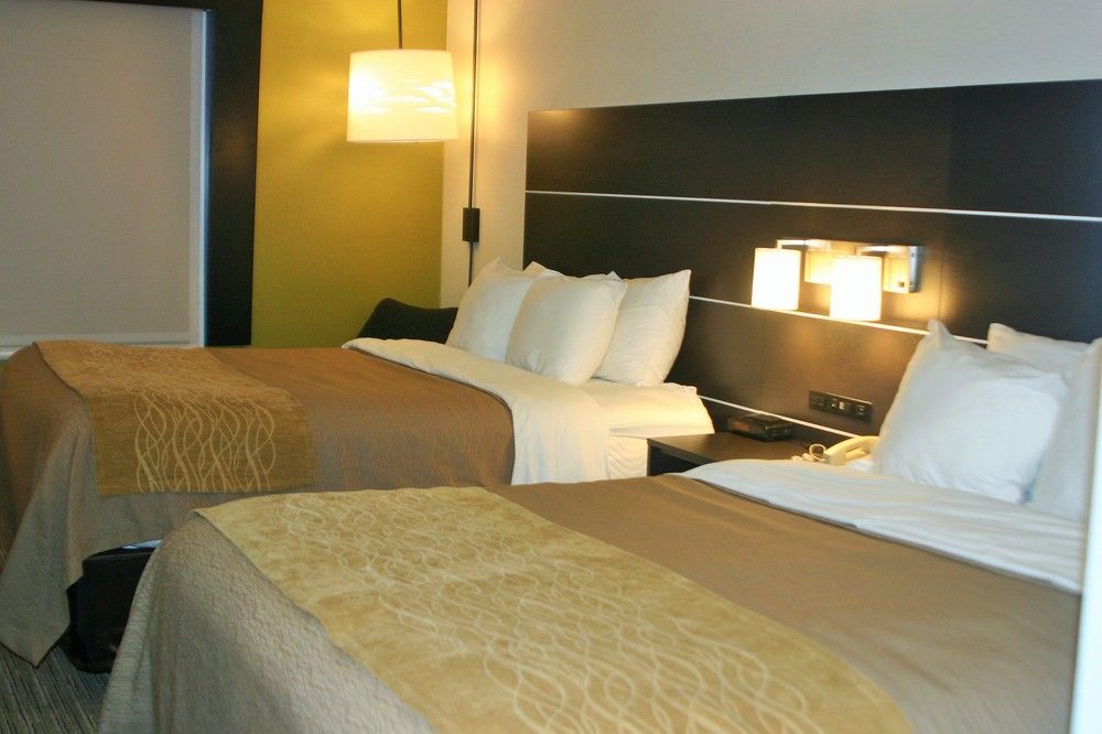 Holiday Inn Express & Suites - Albany Airport - Wolf Road By Ihg Exterior foto